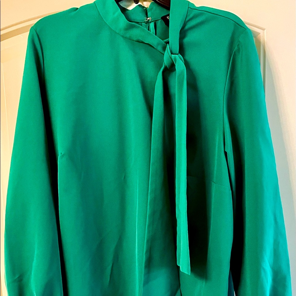 Eloquii Emerald Green long sleeve dress